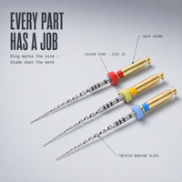 Série de Fils Endodontiques en Nickel-Titane pour Vente Directe – Fils Dentaires PT Next pour Traitement des Canaux Radiculaires