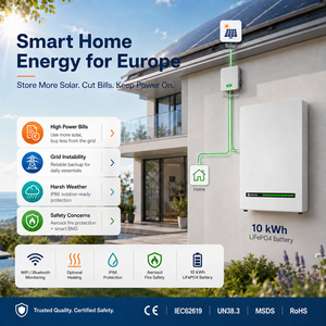 แบตเตอรี่ 10kWh 51.2V 200Ah ติดผนัง สำหรับเก็บพลังงานแสงอาทิตย์ภายในบ้าน พร้อมระบบจัดการแบตเตอรี่อัจฉริยะ (BMS) และระบบสำรองไฟฉุกเฉิน - Product Image 1