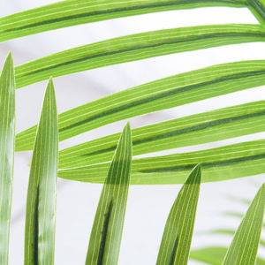 Nuovo Design Albero Bonsai Artificiale da 180cm, Pianta di Palma Tropicale Finta <span class=keywords><strong>in</strong></span> Vaso per Decorazioni Natalizie <span class=keywords><strong>in</strong></span> Fattoria, <span class=keywords><strong>Casa</strong></span> o Abitazione - Product Image 4