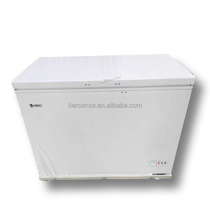 Congélateur coffre horizontal grand format Afrique 400L, prix abordable, pour usage domestique ou commercial, chambre froide 220V, économe en énergie - Product Image 2