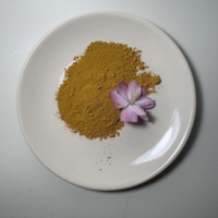 Oxyde de fer jaune 51274-00-1, pigment colorant pour béton, procure une coloration uniforme