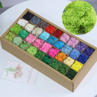 Hoogwaardig geconserveerd rendiermos, multicolor, gestabiliseerd lichenmos voor bruiloftdecoratie, DIY mos-kunst, glazen terrarium