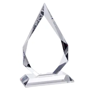 custom transparent acrylic brand awards with logo