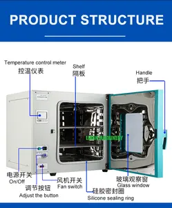 Lab Drying Oven For Plant Dry Oven Laboratory Equipment Vacuum Oven Laboratory Drying