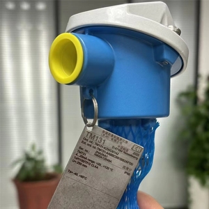 Высокофункциональный и удобный промышленный модульный термометр Endress+Hauser ITHERM TM131 с взрывозащищенным датчиком - Product Image 4