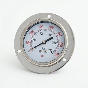 Y75ZT Fabriqué en Chine, jauge en acier inoxydable 304SS bon marché de 3 pouces avec raccordement arrière - Product Image 2