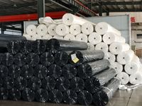 Géotextile en polyester durable, haute perméabilité, résistant aux déchirures, pour la protection des pentes de rivières