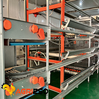 Cage à poules automatique Agrieso de type H pour l'alimentation et l'abreuvement, galvanisée à chaud, équipement d'alimentation pour poules pondeuses