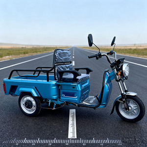 Venta al por mayor <span class=keywords><strong>de</strong></span> motocicletas eléctricas personalizadas <span class=keywords><strong>para</strong></span> adultos, motocicletas <span class=keywords><strong>de</strong></span> <span class=keywords><strong>carga</strong></span> eléctricas <span class=keywords><strong>de</strong></span> 650W, triciclos taxi, camionetas eléctricas <span class=keywords><strong>de</strong></span> plataforma plana - Product Image 2