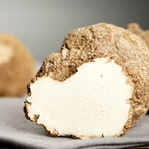 IDOBIO <span class=keywords><strong>Polvere</strong></span> e Capsule di Fungo del <span class=keywords><strong>Latte</strong></span> di Tigre (Pleurotus Tuber-regium) Estratto con Solvente, Integratore Alimentare di Grado Alimentare, Confezionato Sottovuoto - Product Image 5
