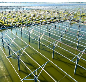 Montaje Solar de Estructura Inclinada Avanzada para Techos Inclinados en Proyectos Residenciales en Arabia Saudita y Países de la Región del Golfo - Product Image 5