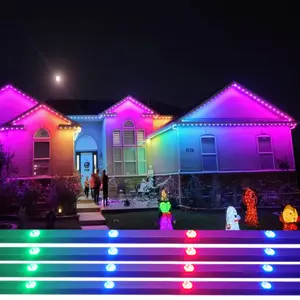 Exterior Wall Of House RGB Pixel Point Lights Outdoor Permanent Christmas Lights