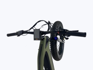 Bicicleta Eléctrica de Montaña Queene 1000W con Motor Central, Rápida, de Carbono, con Neumáticos Anchos - Product Image 4