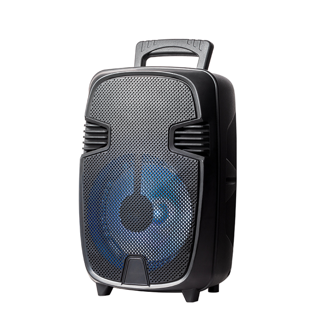 Multimedia 8 Inch Woofer Echo Dot 4th Outdoor Active Speaker Wireless FM Radio for Karaoke