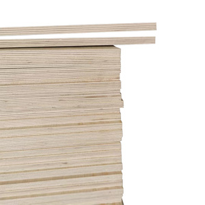 Nhà máy chuyên nghiệp lmainated ván khuôn shuttering tủ quần áo <span class=keywords><strong>balsa</strong></span> chống vi khuẩn bảng gỗ tấm ván ép - Product Image 2