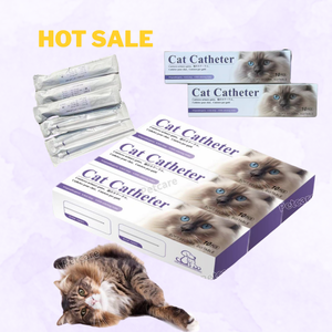 Catéter Urinario Estéril para <span class=keywords><strong>Gatos</strong></span>, Catéter Uretral de 1.0/1.3 mm (Catéter para <span class=keywords><strong>Gatos</strong></span>, Sin Dolor) para Uso Veterinario al Mejor Precio - Product Image 2