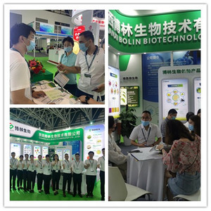 הסיטונאי קריאטין אבקת בתפזורת קריאטין - Product Image 6