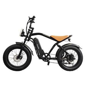 Ruihe Y8 Bicicleta de ciudad eléctrica para hombre con neumático grueso de 20 pulgadas Nuevo diseño 48V Ebike Marco de acero Fuente de alimentación de batería de litio - Product Image 1