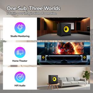 Tinh Khiết Ma10 Hoạt Động Loa Siêu Trầm Loa 10 "Sợi Thủy Tinh Hình Nón 36Hz-200Hz Cho Rạp Hát Tại Nhà Âm Thanh Chuyên Nghiệp Phòng Thu Giám Sát - Product Image 5