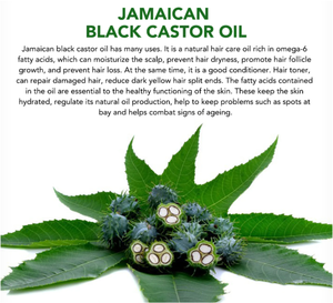 100% Pure &amp; <strong>Organic</strong> <strong>Cold</strong> <strong>Pressed</strong> Natural Carrier <strong>Oil</strong> Jamaican Black <strong>Castor</strong> <strong>Oil</strong> for Hair Growth Nourishment and Hydration - Product Image 2