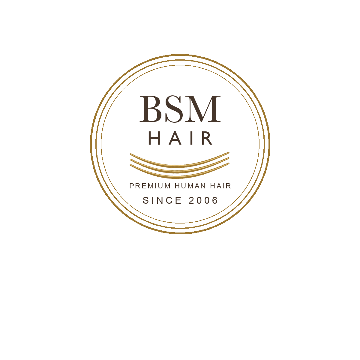 BSM International Trading (Chongqing) Co.,Ltd logo