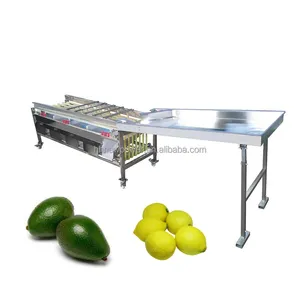 2024 Walnuss-Sortiermaschine einstellbar Zitrone Zwiebel Obst-Sortiermaschine für verschiedene Früchte Apfel Orange Größe Sortiermaschine