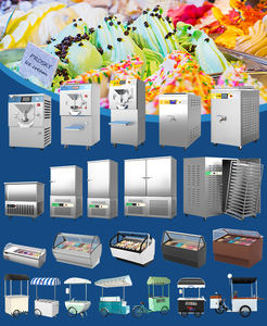 Más vendidos Costo barato Pasteury Lote homogéneo Congelado Calentamiento Multifuncional Helado Leche Gelato Pasteurizador - Product Image 5