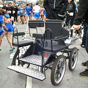 Chariot de tourisme et de marathon en acier inoxydable - Product Image 6