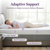3 Zoll Gel-Memory-Foam Belüftete Hochdichte Matratzenauflage in Queensize mit Abnehmbarem Weichem Bezug zur Linderung von Rückenschmerzen
