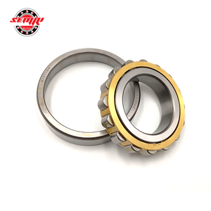 Roller <b>Bearing</b> NF204 - Product Image 1