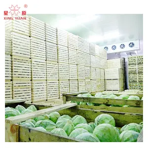 Refrigeration Fruit Vegetable Beef Shrimp Chicken Cold Storage cold room price