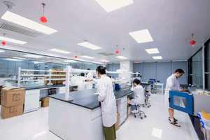 Huile parfumée de haute qualité crème pour le corps parfum frais crème pour le corps beurre de corps huile parfumée pour la fabrication cosmétique - Product Image 4