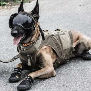 Occhiali tattici per cani con protezione anti-UV per animali da compagnia antivento per protezione solare da esterno - Product Image 2