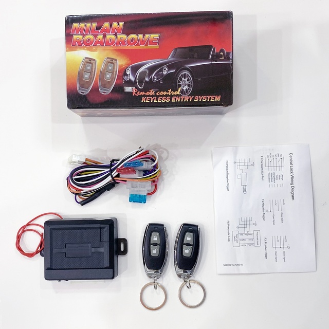 Manufacture One Way Remote Car Keyless Entry System BCS-296