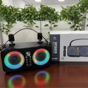 YS607 Enceinte portable sans fil double, motif cuir, pour extérieur et intérieur, avec fonction Karaoké - Product Image 5