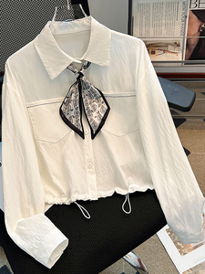 <span class=keywords><strong>Camicia</strong></span> da Donna Primavera 2026 Nuova Moda Elegante Casual Versatile con Sciarpa in Seta Manica Corta e Lunga - Product Image 2