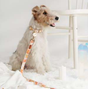 Colliers pour animaux de compagnie en coton de luxe modernes et mignons, taille XS, imprimé élégant exclusif, doux, durables, motif tendance, personnalisables, de qualité supérieure - Product Image 5