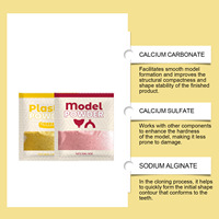 Kit de Decoración Dental de Marca Propia para que Puedas Crear un Modelo Dental, Material de Masilla para Moldes Dentales, Juego de Modelos de Yeso Dental