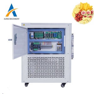Precio <span class=keywords><strong>de</strong></span> Mini Liofilizador Industrial, Precio <span class=keywords><strong>de</strong></span> Máquina Secadora <span class=keywords><strong>de</strong></span> Gusanos <span class=keywords><strong>de</strong></span> la Harina, Pequeño Liofilizador al Vacío - Product Image 4