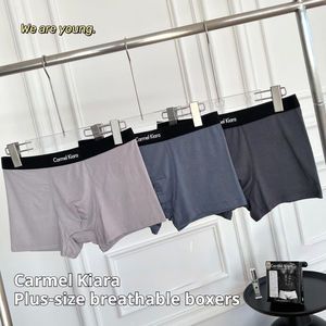 Ropa interior de bacteriostasis para hombre, <span class=keywords><strong>breve</strong></span> cambio de temperatura, ropa interior de iones negativos para hombre, bóxers de talla grande para ropa interior para hombre - Product Image 5