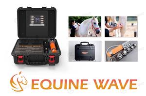 पेशेवर विषुव चिकित्सा उपकरण घोड़ों के पालतू जानवरों के लिए त्वरित दर्द राहत राहत शरीर अनुप्रयोग - Product Image 2