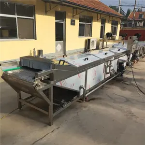 Steam Heating Small Tomato Jackfruit Frozen Vegetable Fruit Washing Potato Pepper Blanching And Cooling Machine