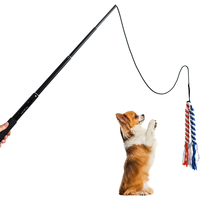 Bâton de jeu extensible pour animaux de compagnie, baguette interactive pour chiens, jouet de poursuite pour chiens de petite, moyenne et grande taille, pour l'entraînement et le jeu