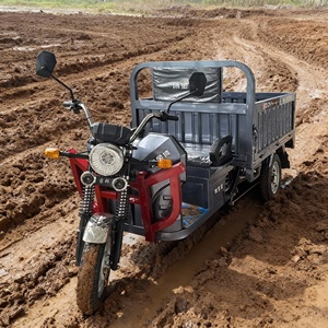 <span class=keywords><strong>Tricycle</strong></span> électrique de livraison urbaine, fabriqué en Chine, avec fonction de déchargement hydraulique, grande capacité de charge, prix bas. - Product Image 6