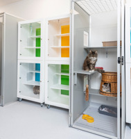 Superbe Tour pour Chat de Luxe avec Cabine en Verre, Ferme en Métal Massif à Fermeture Classique, Cage Panoramique Élégante pour Chat