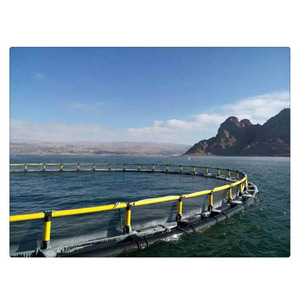 Solución para la Cría de Tilapia: Jaula de HDPE para Peces en el Lago <span class=keywords><strong>Victoria</strong></span> para los Países del Cuenca del Lago <span class=keywords><strong>Victoria</strong></span> - Product Image 1