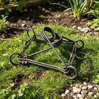 Piège à animaux sauvages en métal pour jardin extérieur, piège à taupes