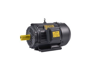 มอเตอร์ไฟฟ้ากระแสสลับสามเฟส Ye3-132S1-4-5.5Kw แบบอะซิงโครนัสสำหรับอุปกรณ์เครื่องจักรกล - Product Image 2