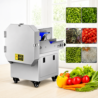 20-type multifunctionele groente- en fruitsnijmachine met motor en tandwieloverbrenging voor commercieel gebruik in groenteverwerkingsbedrijven