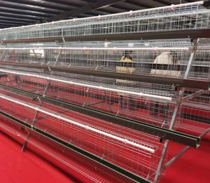 A-Loại 4 Cấp Đầy Đủ Tự Động Lưới Thép Gà Hai Lớp Lồng Điều Kiện Mới Gia Cầm Lồng Cho Gà Thịt Chim - Product Image 5